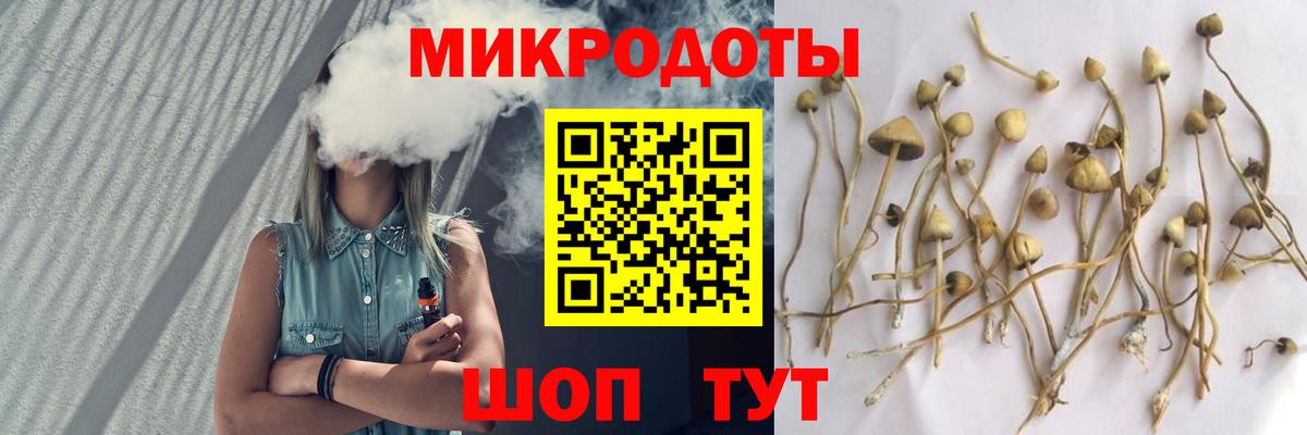Галлюциногенные грибы MAGIC MUSHROOMS  хочу   Мариинск  Вход с VPN 